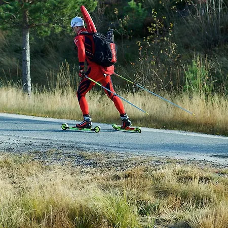 Ski Lodge Gautefall 아파트