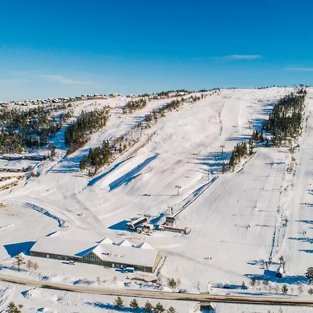 Apartament Ski Lodge Gautefall