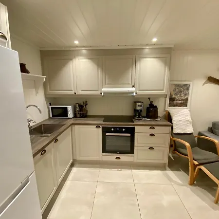 Apartment Ski Lodge Gautefall