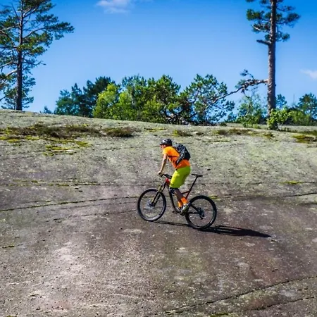 Apartament Ski Lodge Gautefall