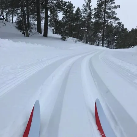 Ski Lodge Gautefall 아파트 *