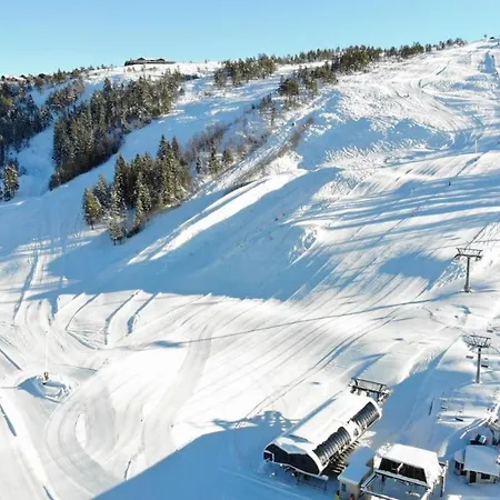 Ski Lodge Gautefall *