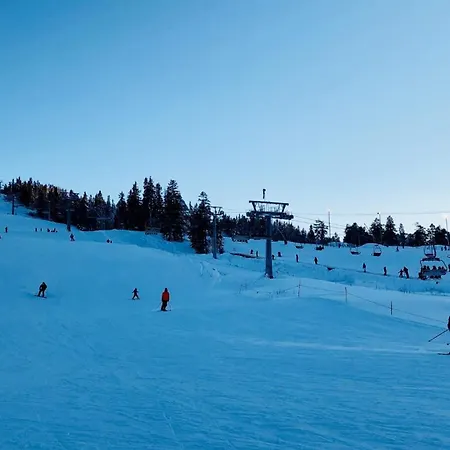Ski Lodge Gautefall Apartament