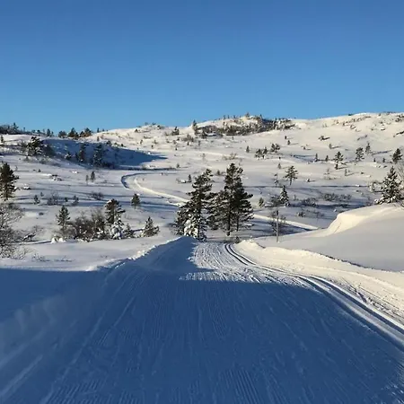 شقة Ski Lodge Gautefall Gautefall