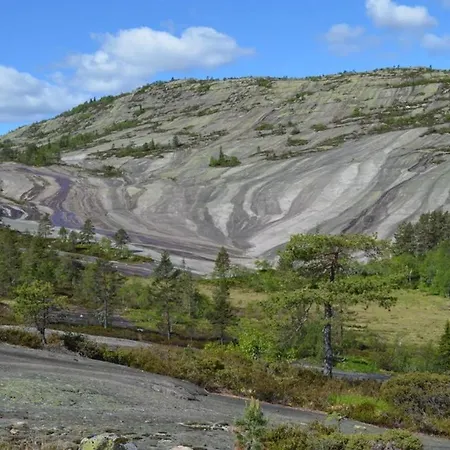 Ski Lodge Gautefall * Gautefall