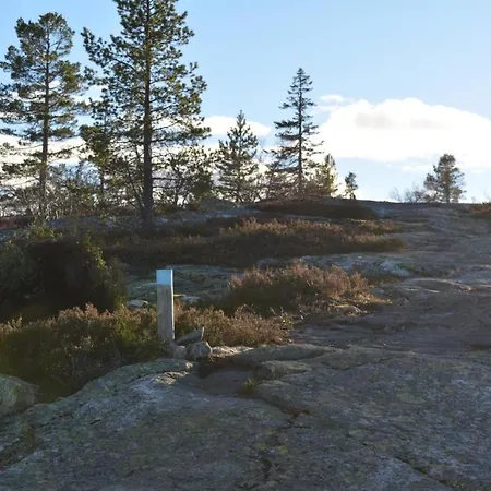 Ski Lodge Gautefall Apartament