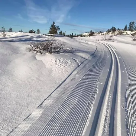 Ski Lodge Gautefall شقة