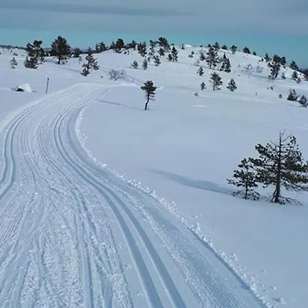 Ski Lodge Gautefall Apartament