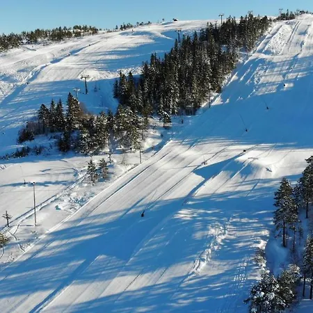 Apartment Ski Lodge Gautefall