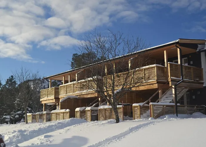 Ski Lodge Gautefall Apartment