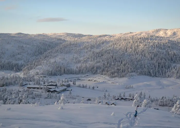 Ski Lodge Gautefall Apartment *