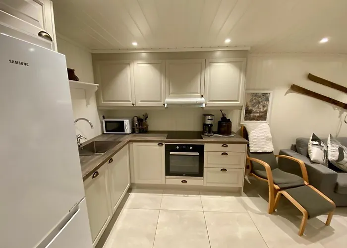 Apartment Ski Lodge Gautefall