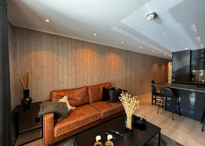 Apartment Ski Lodge Gautefall