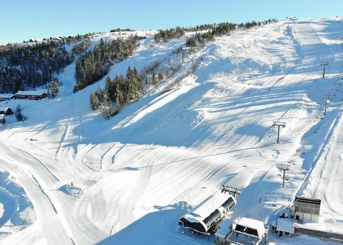 Ski Lodge Gautefall *