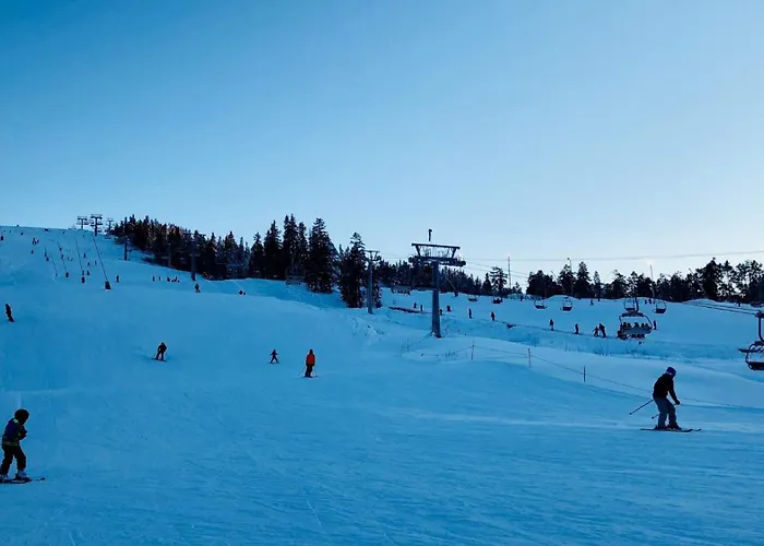Ski Lodge Gautefall Apartment