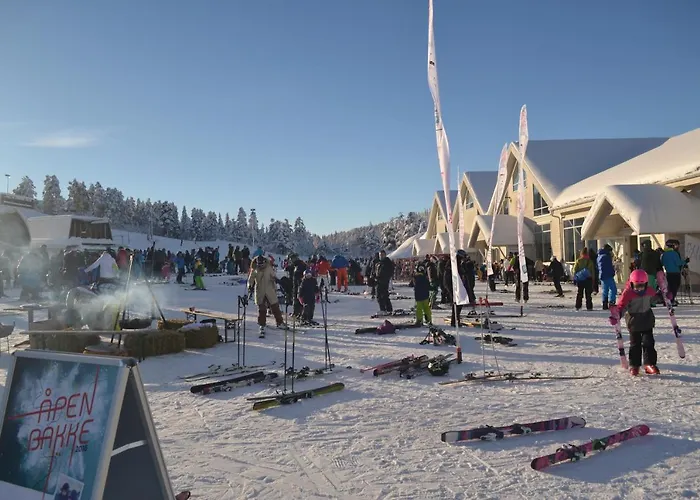 Ski Lodge Gautefall *