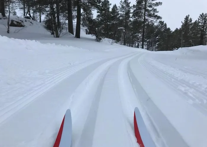 Ski Lodge Gautefall 公寓 *
