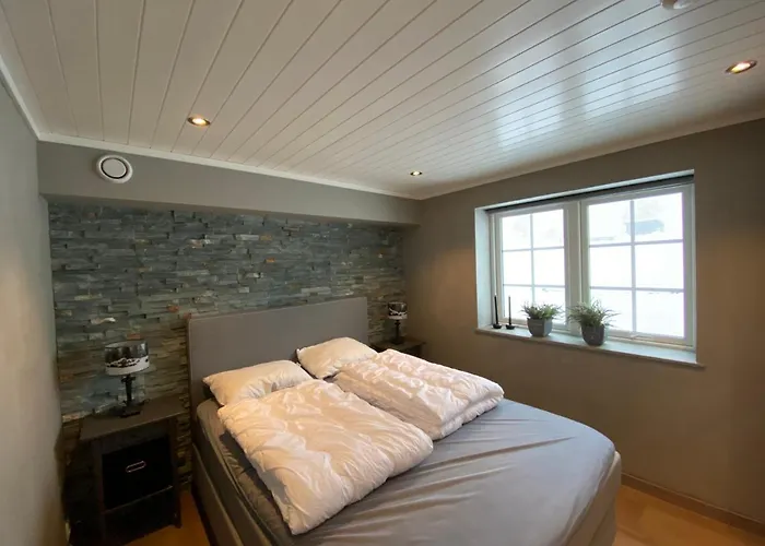 Ski Lodge Gautefall 公寓 *