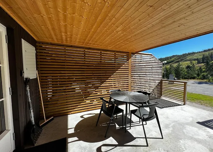 Ski Lodge Gautefall 公寓