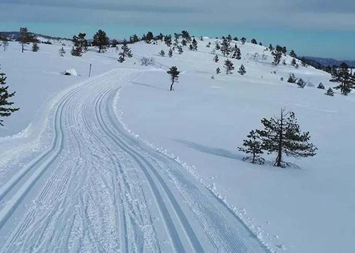 Ski Lodge Gautefall 公寓
