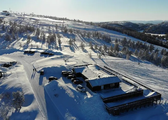 Ski Lodge Gautefall *
