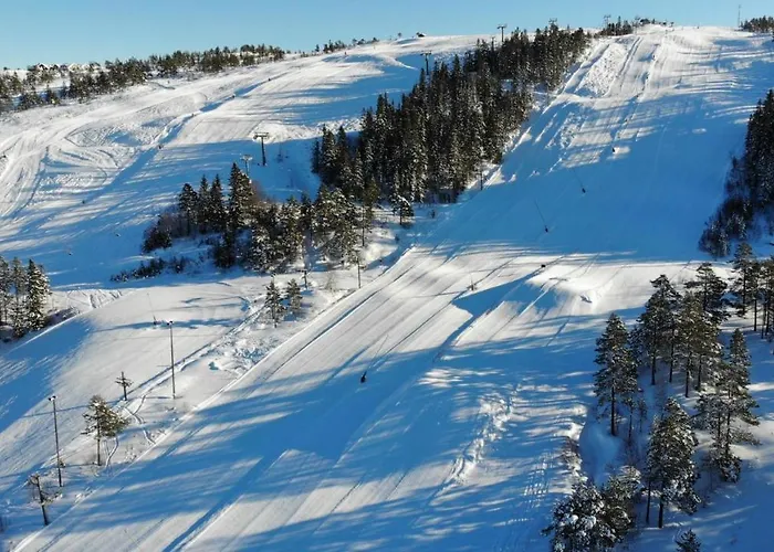 公寓 Ski Lodge Gautefall
